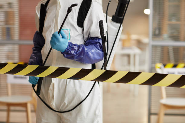 Professional Sewage Cleanup technician working in Jean, NV